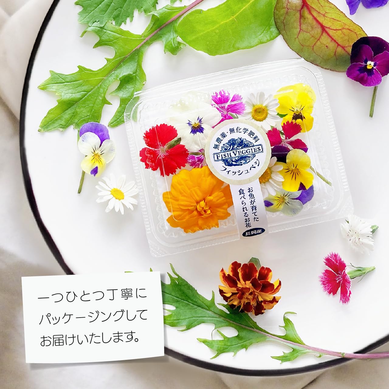 支柱　エディブルフラワー　飾り葉 万吉杉 エディブルフラワー 飾り葉 【公式通販】
